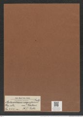 Aulacodiscus margaritaceus var. kinkerii (A. S.) Rattr. (de-Toni-Nr.: Genus 182, Species 4515) Zeichnungen Sammlung Grunow Mappe 04438 (Herbarium_W_Grunow_drawings_Folder_04438)